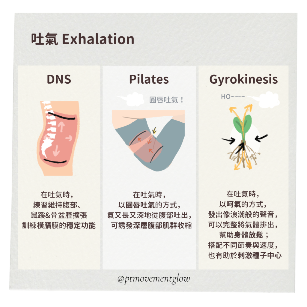 不同運動中（DNS、皮拉提斯、嬋柔運動）的吐氣方式